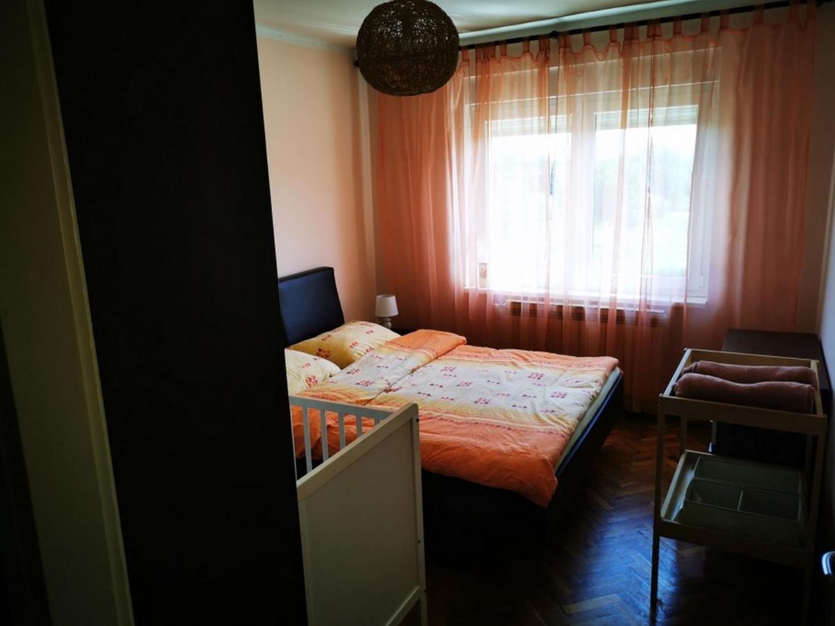 Apartament Apartmant Sandra - Big Terace And Free Parking Karlovac Zewnętrze zdjęcie